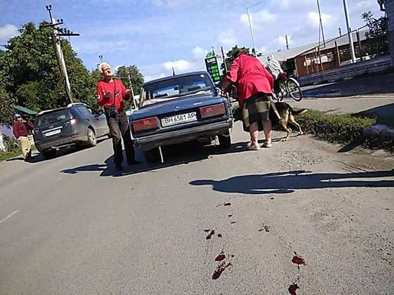 На Винничине собаку привязали цепью к такси и тащили через весь город. Фото На Винничине собаку привязали цепью к такси и тащили через весь город. Фото